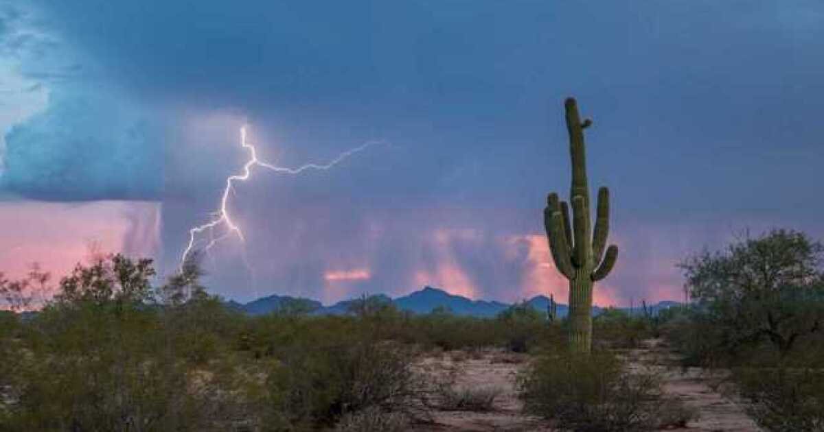 Tucson monsoon season home preparation